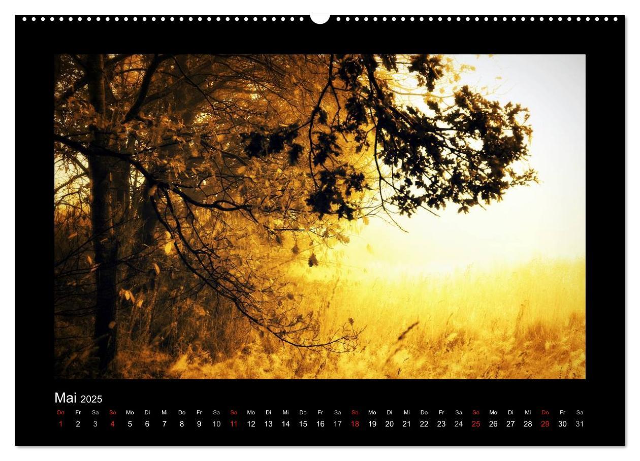 Bild: 9783435731398 | Landschaft Teufelsmoor / 2025 (Wandkalender 2025 DIN A2 quer),...