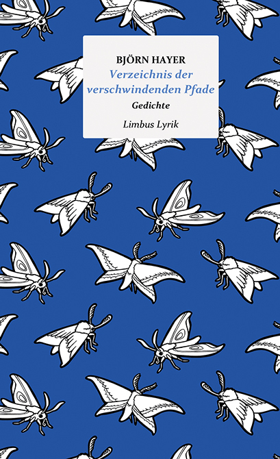 Cover: 9783990392188 | Verzeichnis der verschwindenden Pfade | Gedichte | Björn Hayer | Buch