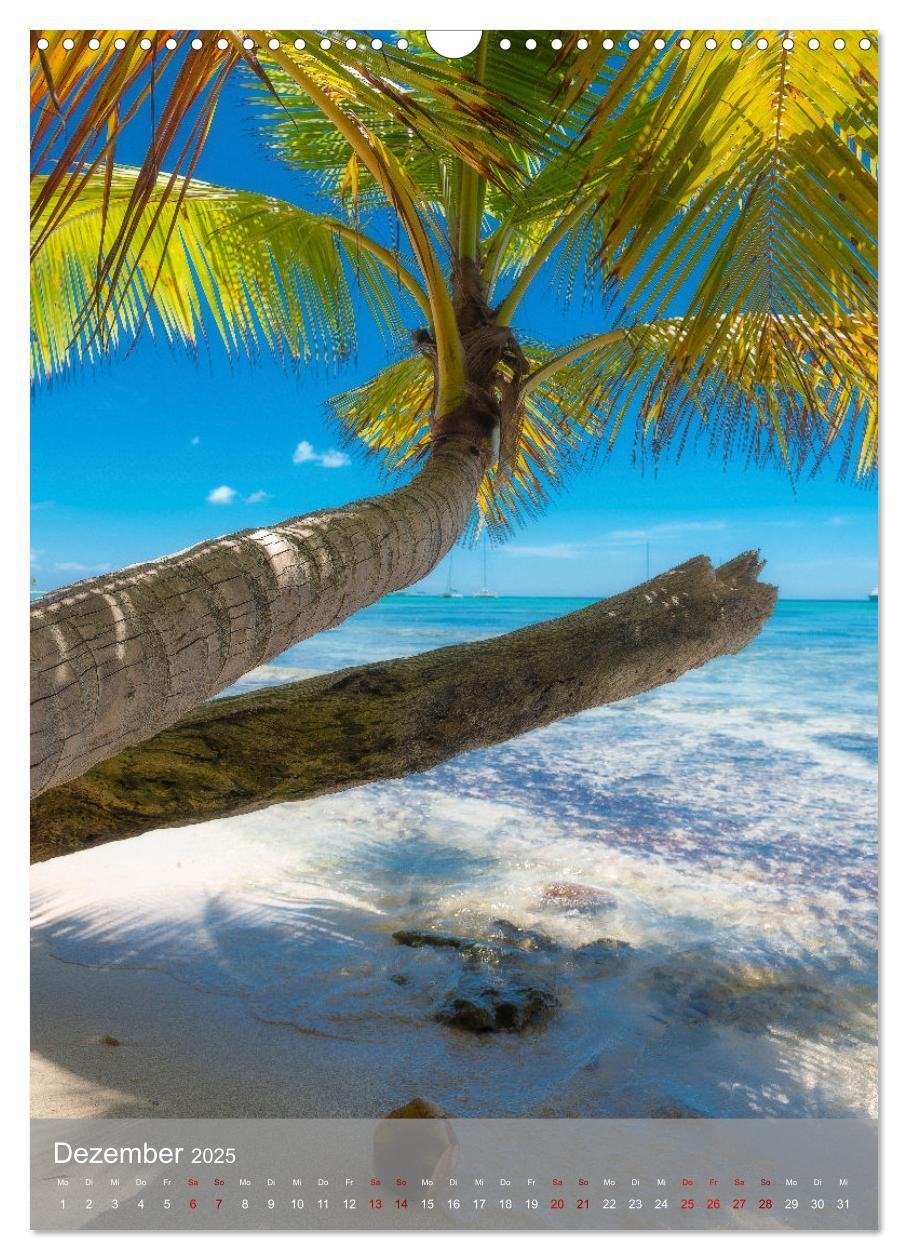 Bild: 9783435916153 | Karibischer Traum Isla Saona (Wandkalender 2025 DIN A3 hoch),...