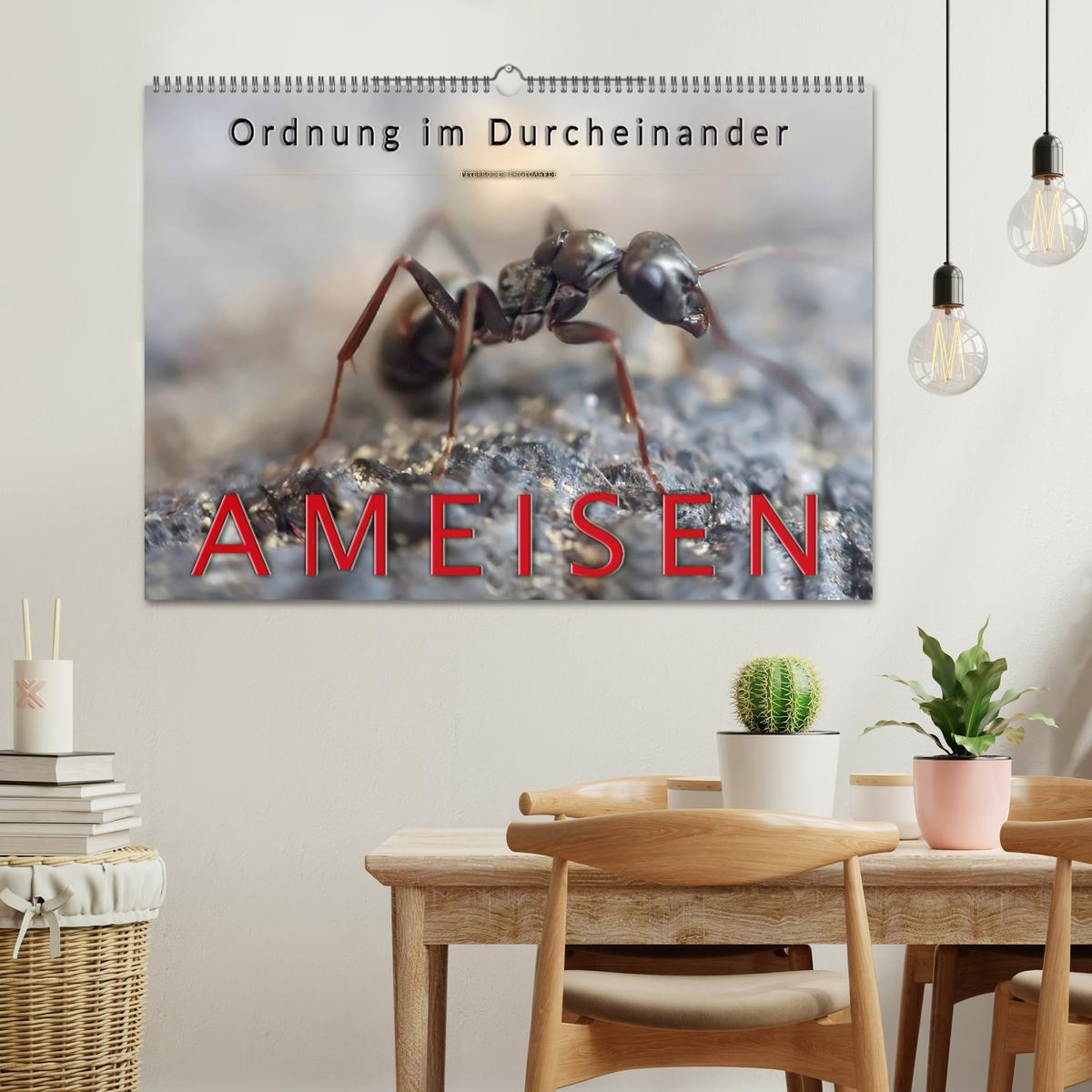 Bild: 9783435353583 | Ameisen - Ordnung im Durcheinander (Wandkalender 2025 DIN A2 quer),...