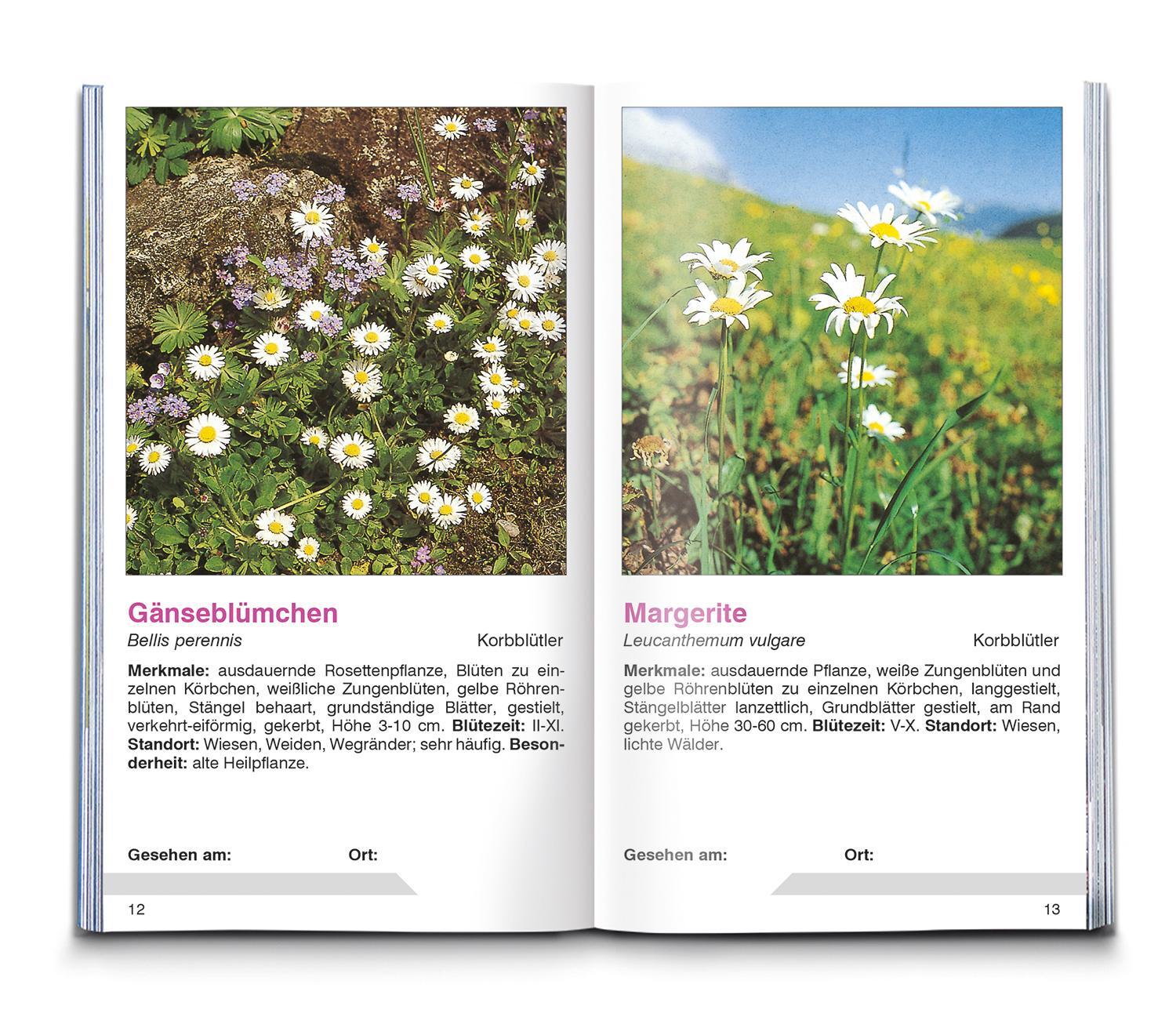 Bild: 9783991215387 | KOMPASS Naturführer Wiesenblumen | Christine Jaitner | Taschenbuch