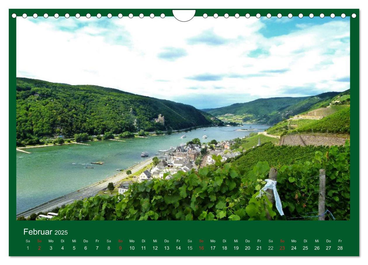 Bild: 9783435792481 | Im Rheingau (Wandkalender 2025 DIN A4 quer), CALVENDO Monatskalender