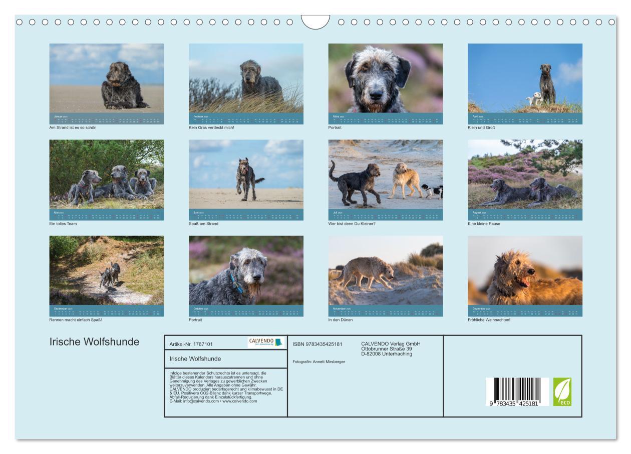 Bild: 9783435425181 | Irische Wolfshunde (Wandkalender 2025 DIN A3 quer), CALVENDO...