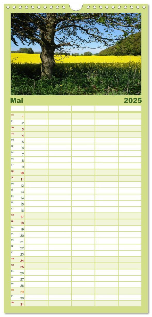 Bild: 9783457126318 | Familienplaner 2025 - Baum-Variationen mit 5 Spalten (Wandkalender,...