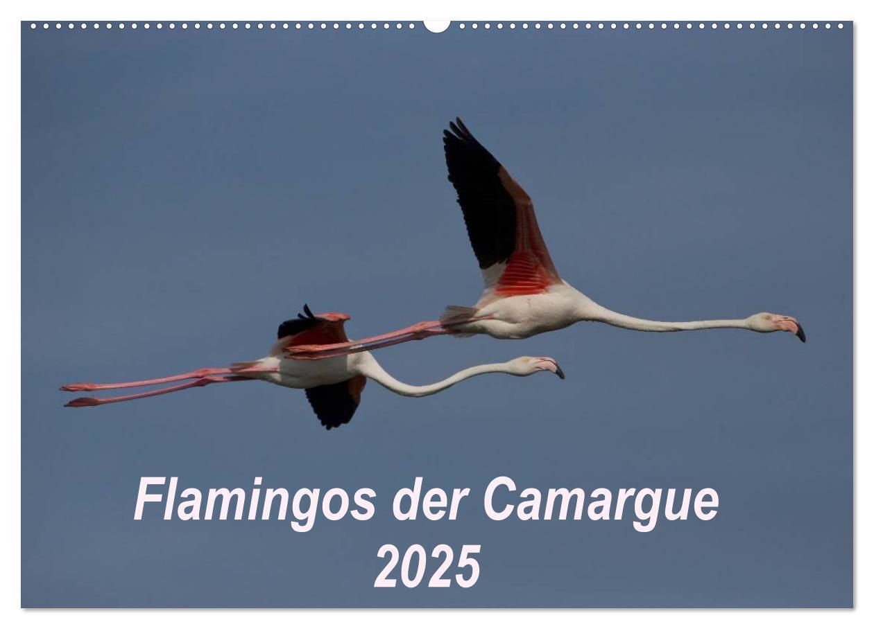 Cover: 9783435674473 | Flamingos der Camargue 2025 (Wandkalender 2025 DIN A2 quer),...