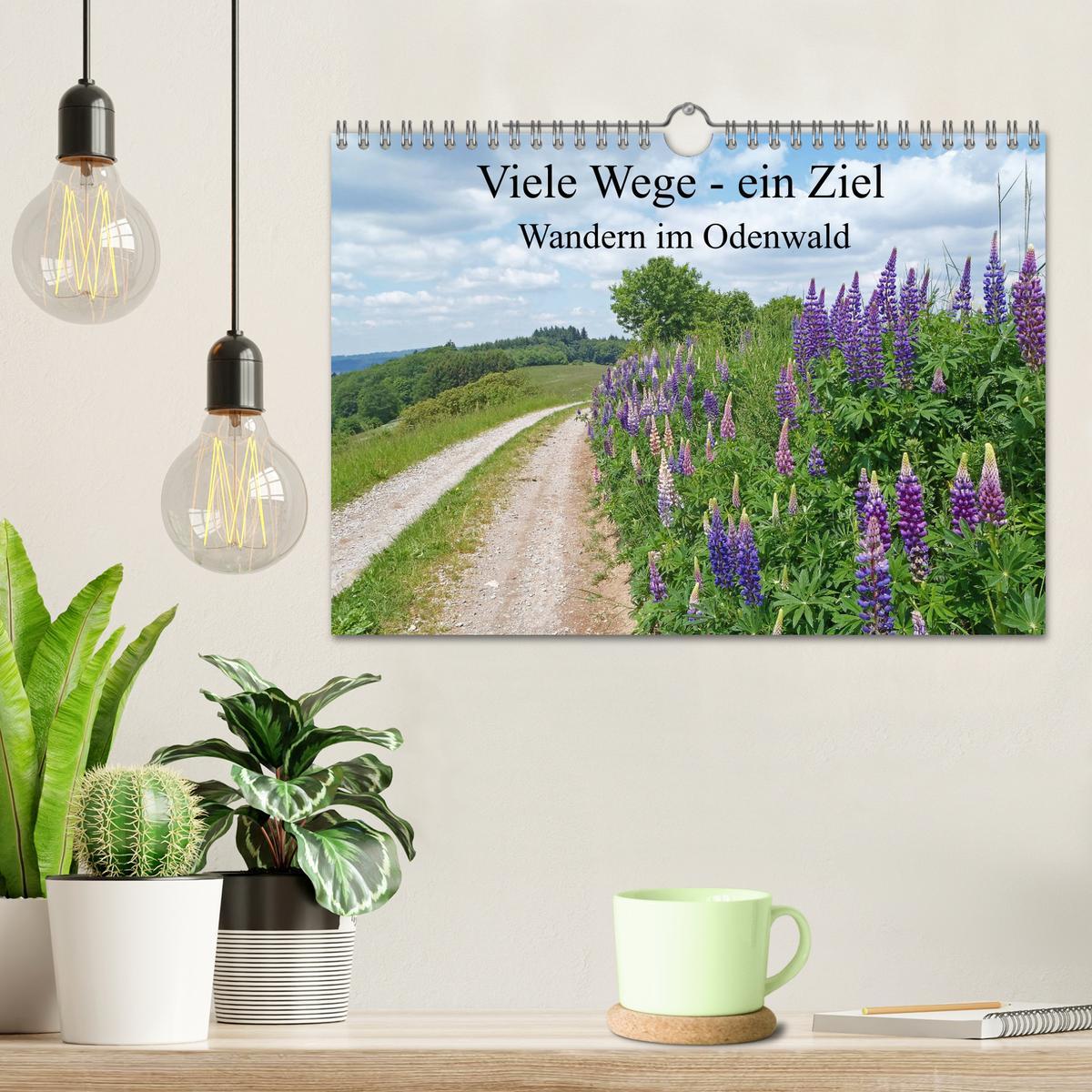 Bild: 9783435222698 | Viele Wege - ein Ziel Wandern im Odenwald (Wandkalender 2025 DIN A4...