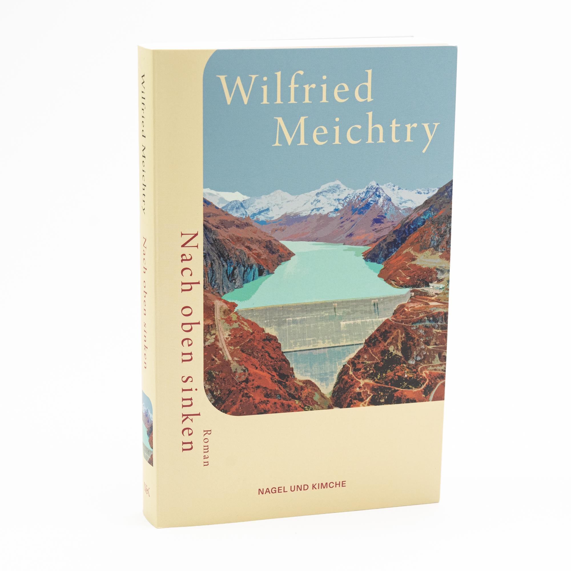 Bild: 9783312013562 | Nach oben sinken | Wilfried Meichtry | Taschenbuch | 256 S. | Deutsch