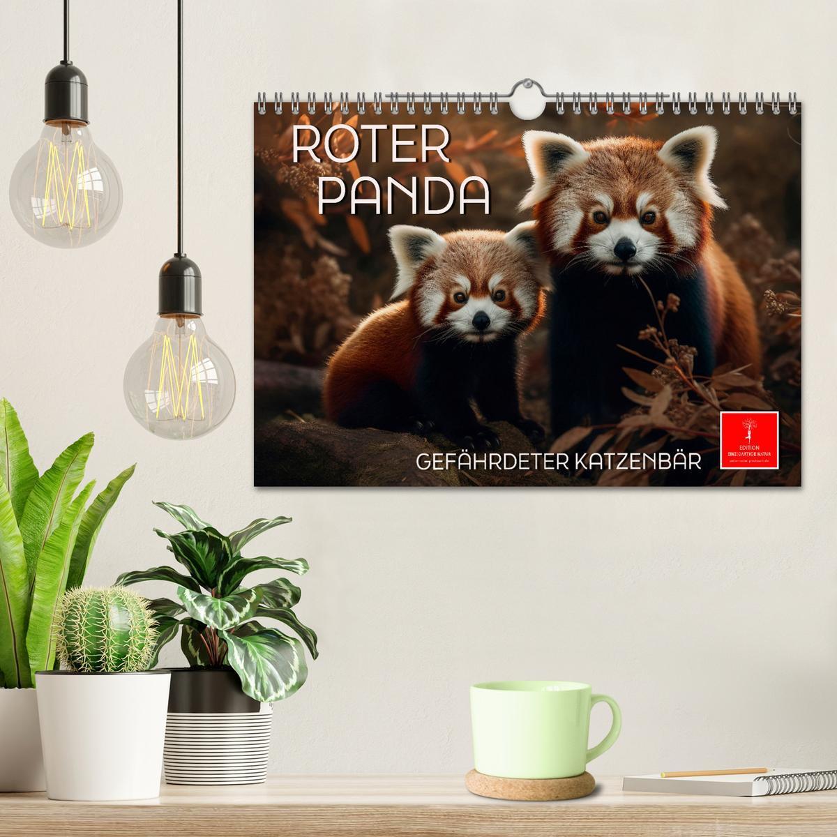 Bild: 9783383867200 | Roter Panda - gefährdeter Katzenbär (Wandkalender 2025 DIN A4...