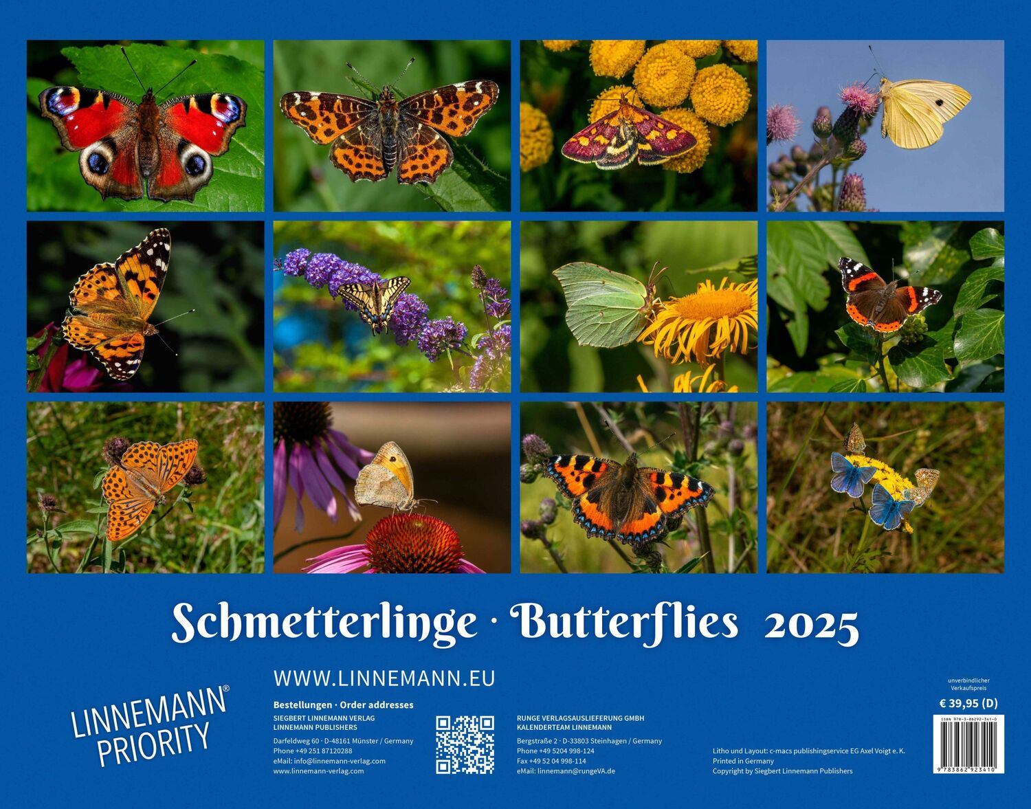 Bild: 9783862923410 | Schmetterlinge 2025 Großformat-Kalender 58 x 45,5 cm | Verlag | 14 S.