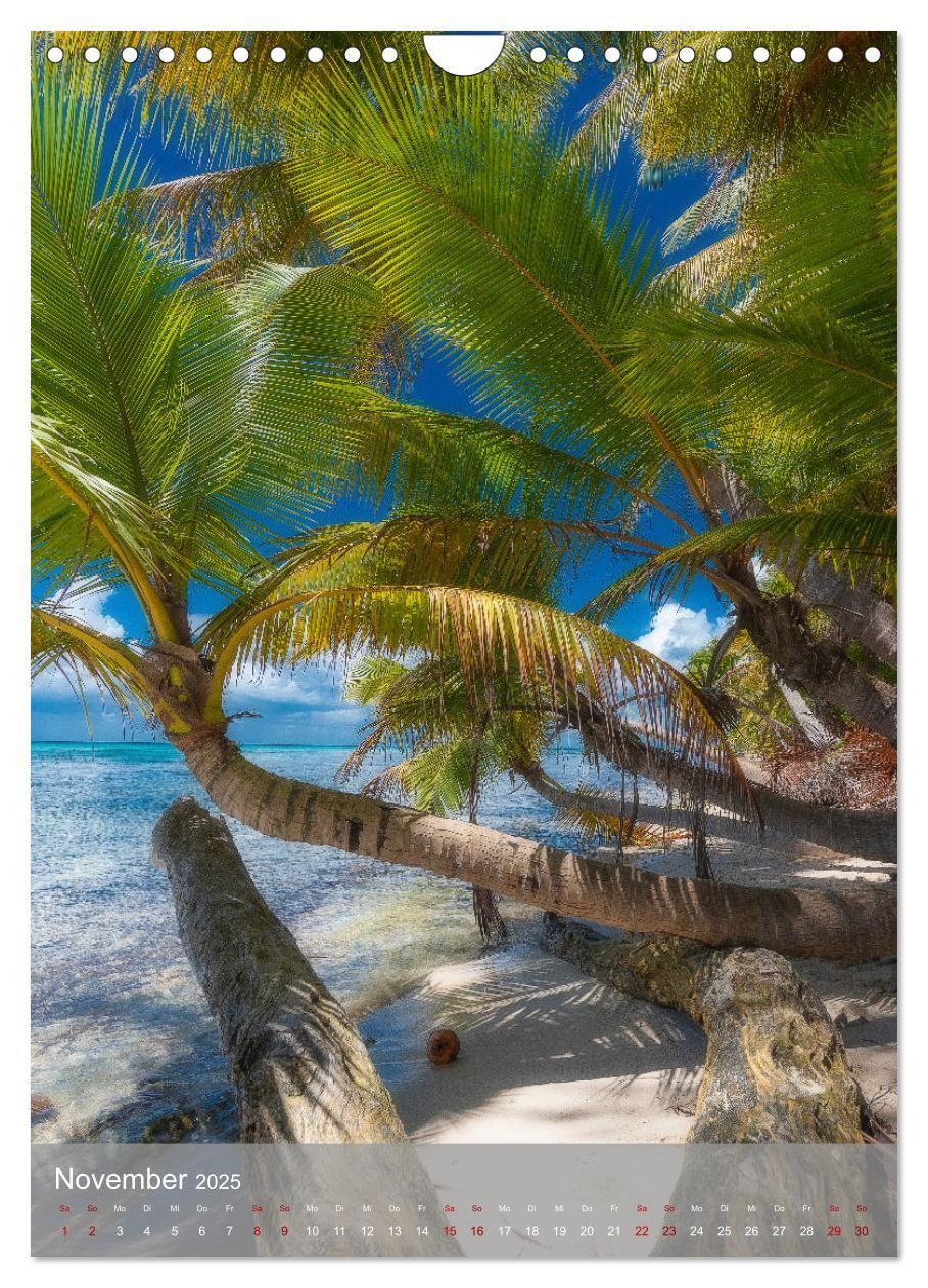 Bild: 9783435916689 | Karibischer Traum Isla Saona (Wandkalender 2025 DIN A4 hoch),...