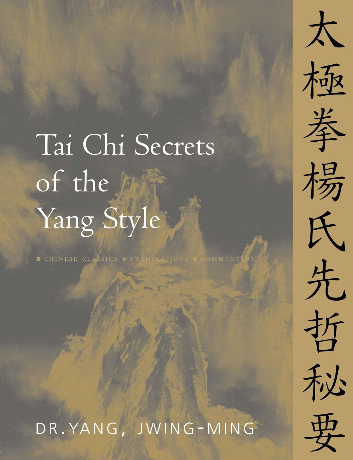 Cover: 9781886969094 | Tai CHI Secrets of the Yang Style | Jwing-Ming Yang | Taschenbuch