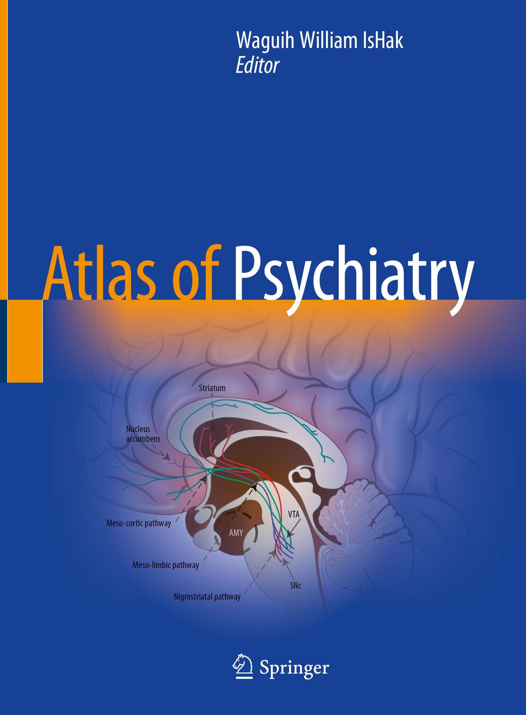 Cover: 9783031154003 | Atlas of Psychiatry | Waguih William Ishak | Buch | xx | Englisch