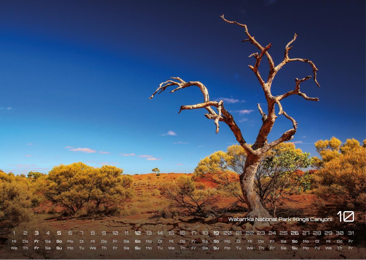 Bild: 9783986733803 | Australien - das Land der Kängurus - 2025 - Kalender DIN A3 | Kalender