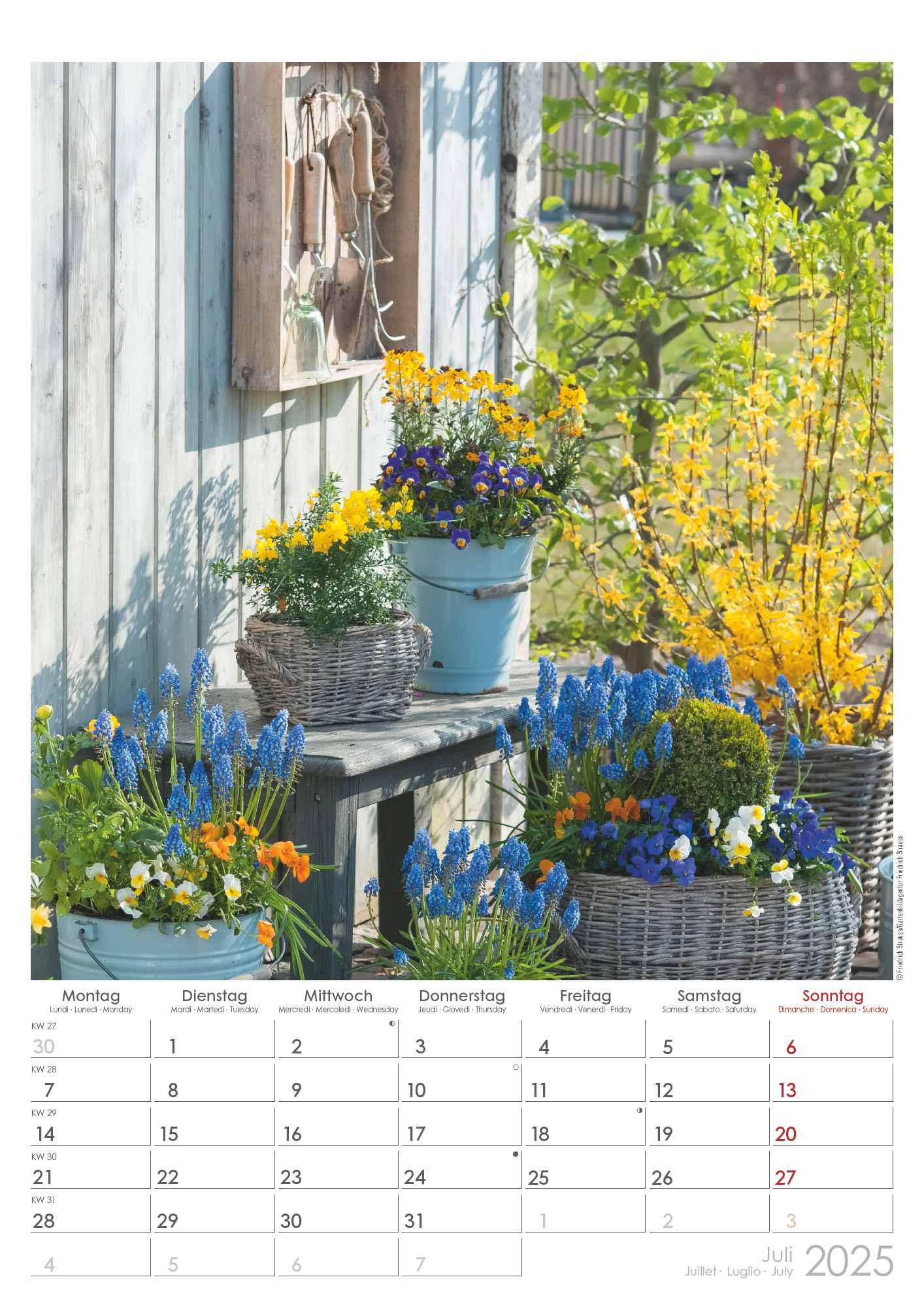 Bild: 4251732342036 | Landhaus 2025 - Bildkalender A3 (29,7x42 cm) - Country House - mit...