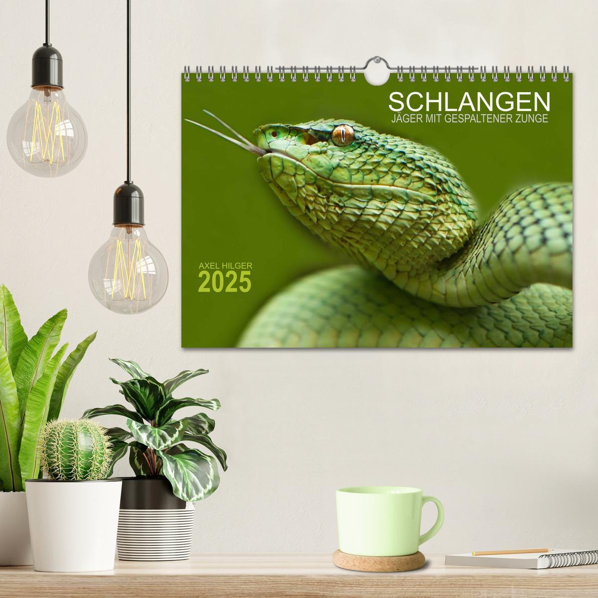 Bild: 9783435654673 | SCHLANGEN. JÄGER MIT GESPALTENER ZUNGE (Wandkalender 2025 DIN A4...