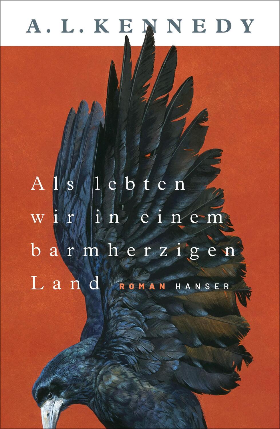 Cover: 9783446276246 | Als lebten wir in einem barmherzigen Land | Roman | A. L. Kennedy