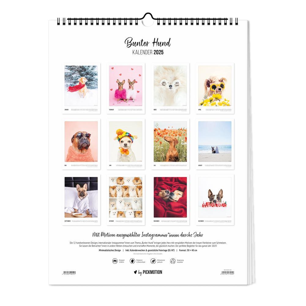 Bild: 4251781179249 | Wandkalender 2025 - Bunter Hund | Pickmotion | Kalender | Deutsch