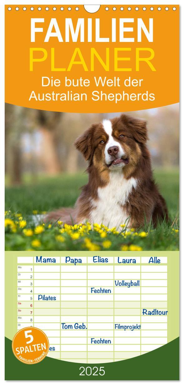 Cover: 9783457114483 | Familienplaner 2025 - DIE BUNTE WELT DER AUSTRALIAN SHEPHERDS mit 5...