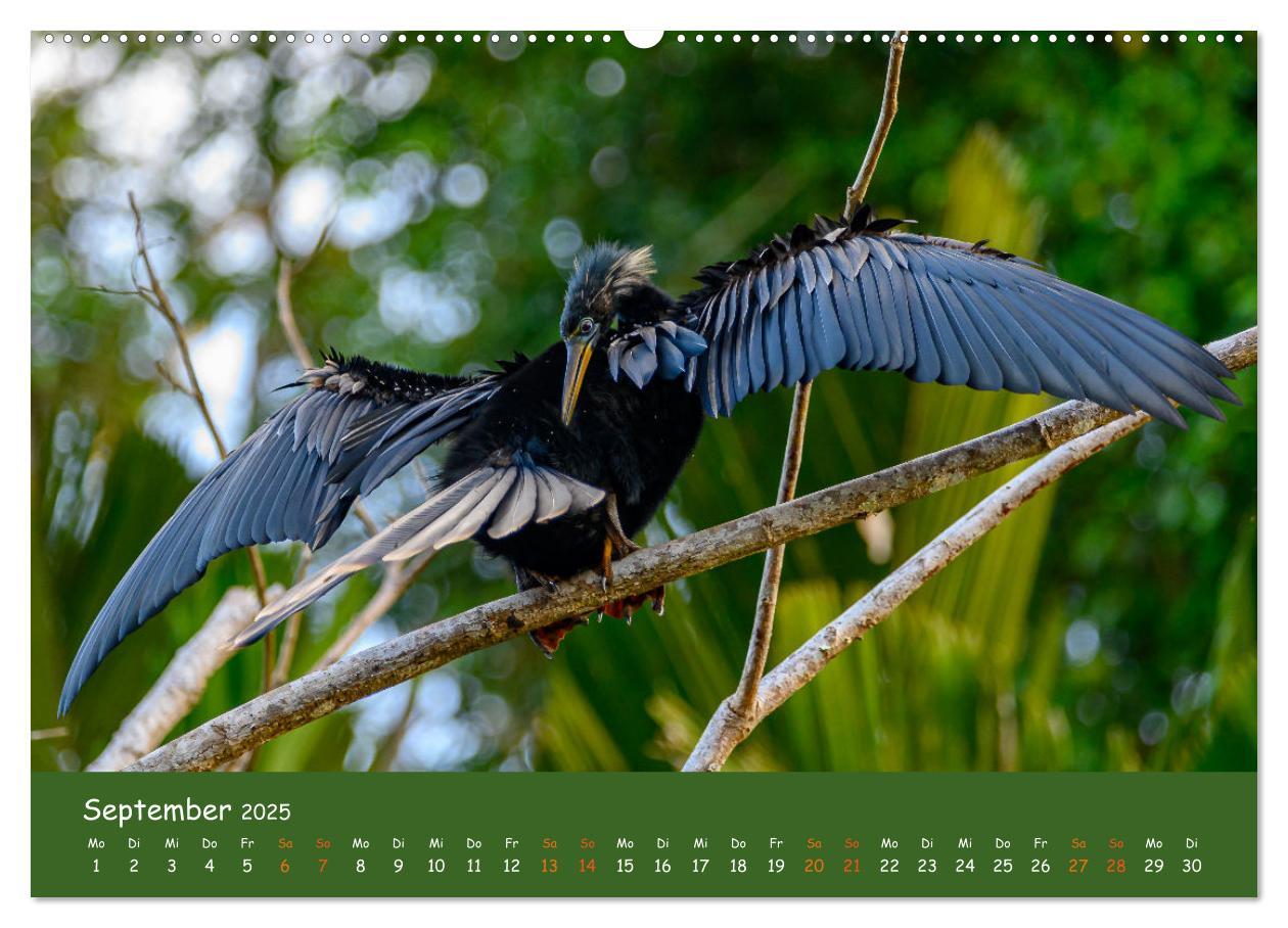 Bild: 9783383830099 | Costa Rica - Naturparadies zwischen Karibik und Pazifik...