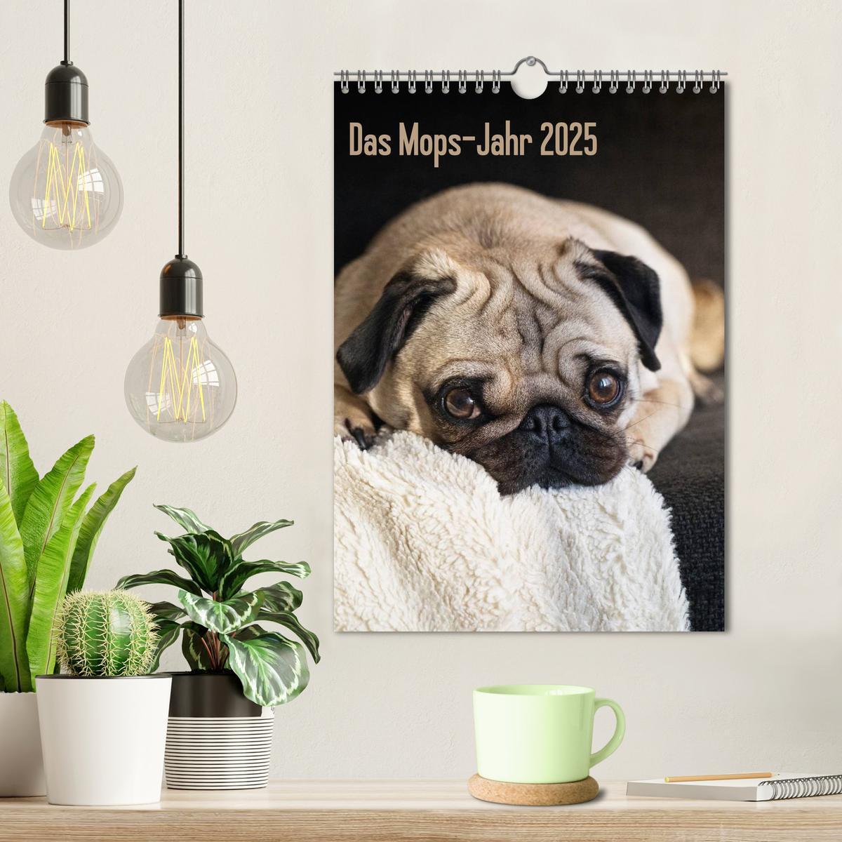 Bild: 9783457085370 | Das Mops-Jahr 2025 (Wandkalender 2025 DIN A4 hoch), CALVENDO...