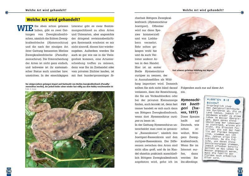 Bild: 9783937285139 | Der Zwergkrallenfrosch | Hymenochirus boettgeri | Kriton Kunz | Buch