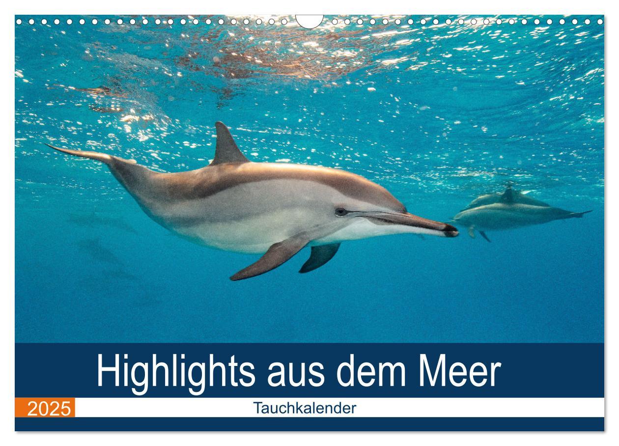 Cover: 9783435615469 | Highlights aus dem Meer - Tauchkalender (Wandkalender 2025 DIN A3...