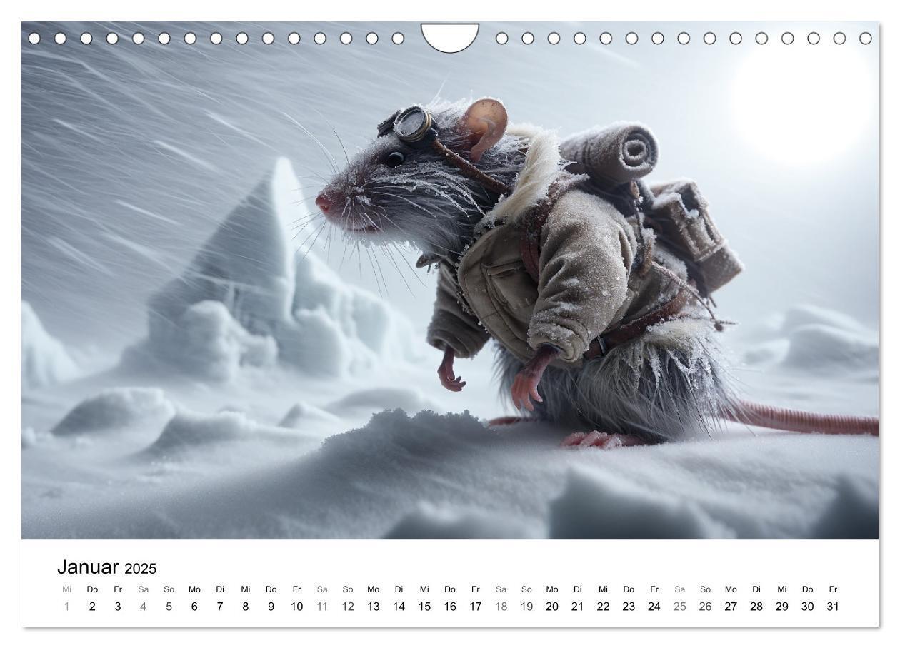 Bild: 9783383768606 | Abenteuerliche Ratten (Wandkalender 2025 DIN A4 quer), CALVENDO...