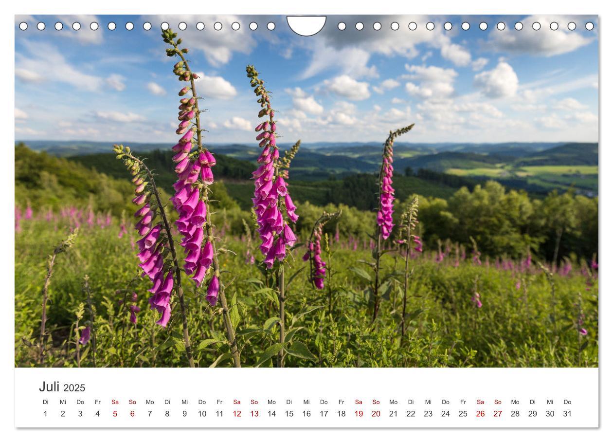 Bild: 9783435019083 | Das Sauerland im Wechsel der Jahreszeiten (Wandkalender 2025 DIN A4...