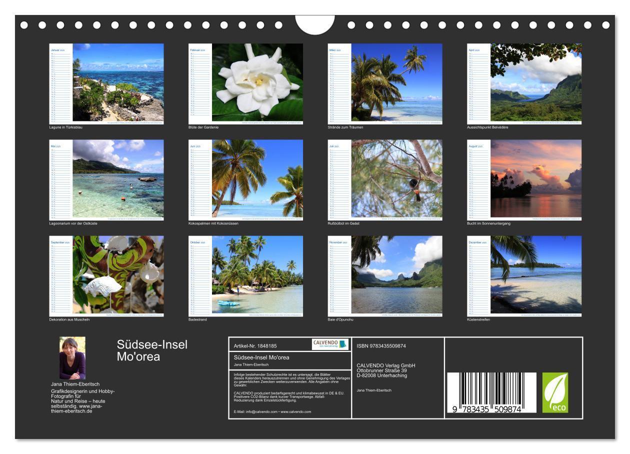 Bild: 9783435509874 | Südsee-Insel Mo'orea (Wandkalender 2025 DIN A4 quer), CALVENDO...