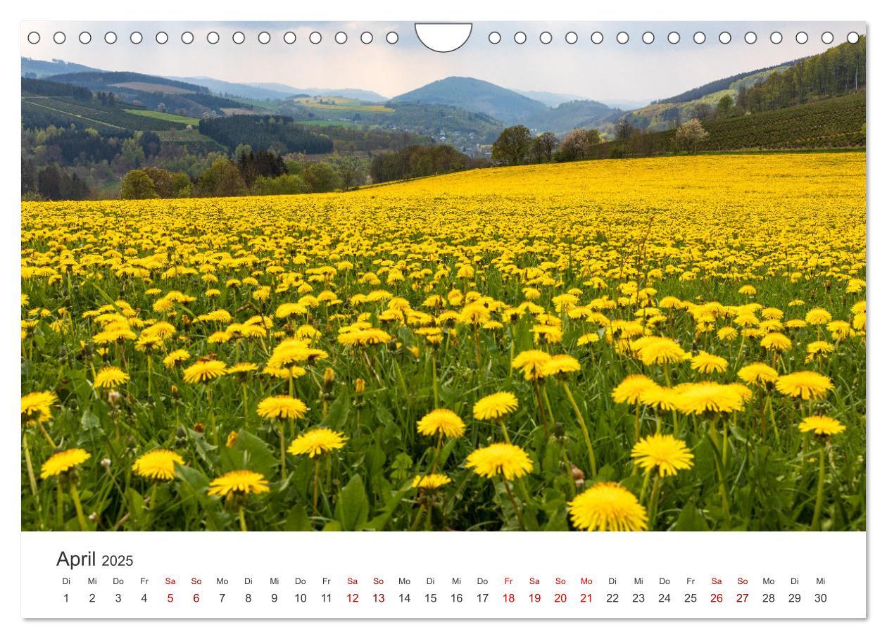 Bild: 9783435019083 | Das Sauerland im Wechsel der Jahreszeiten (Wandkalender 2025 DIN A4...