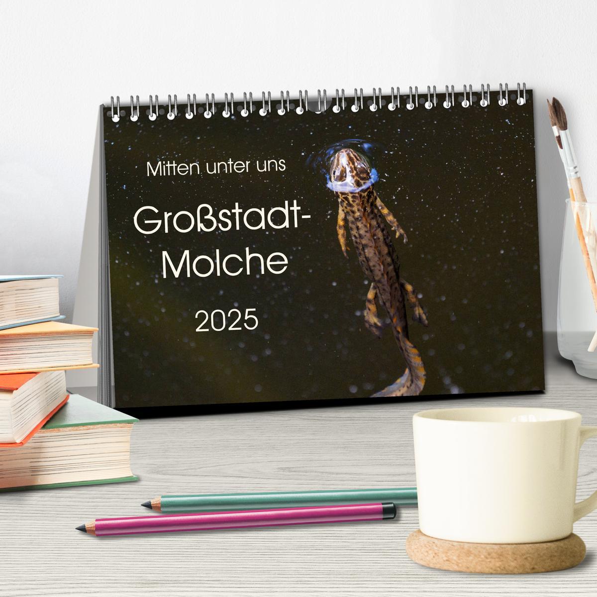 Bild: 9783435397082 | Mitten unter uns - Großstadt-Molche (Tischkalender 2025 DIN A5...