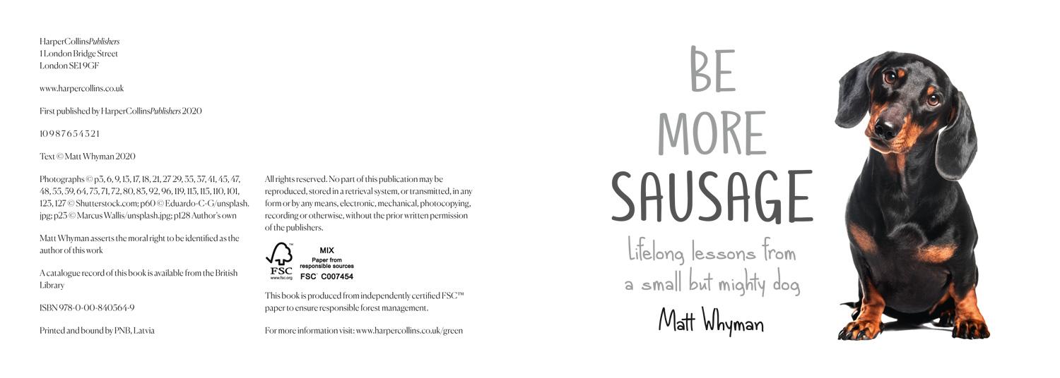 Bild: 9780008405649 | Be More Sausage | Lifelong Lessons from a Small But Mighty Dog | Buch