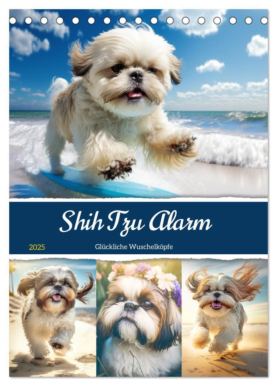 Cover: 9783435874514 | Shih Tzu Alarm. Glückliche Wuschelköpfe (Tischkalender 2025 DIN A5...