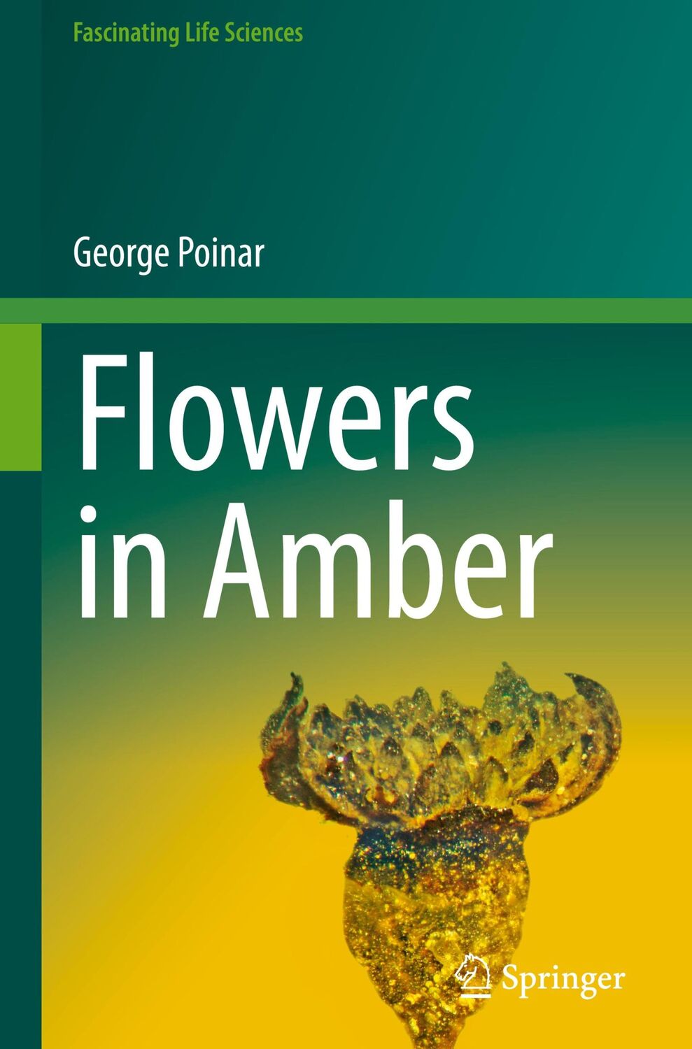 Cover: 9783031090431 | Flowers in Amber | George Poinar | Buch | Fascinating Life Sciences