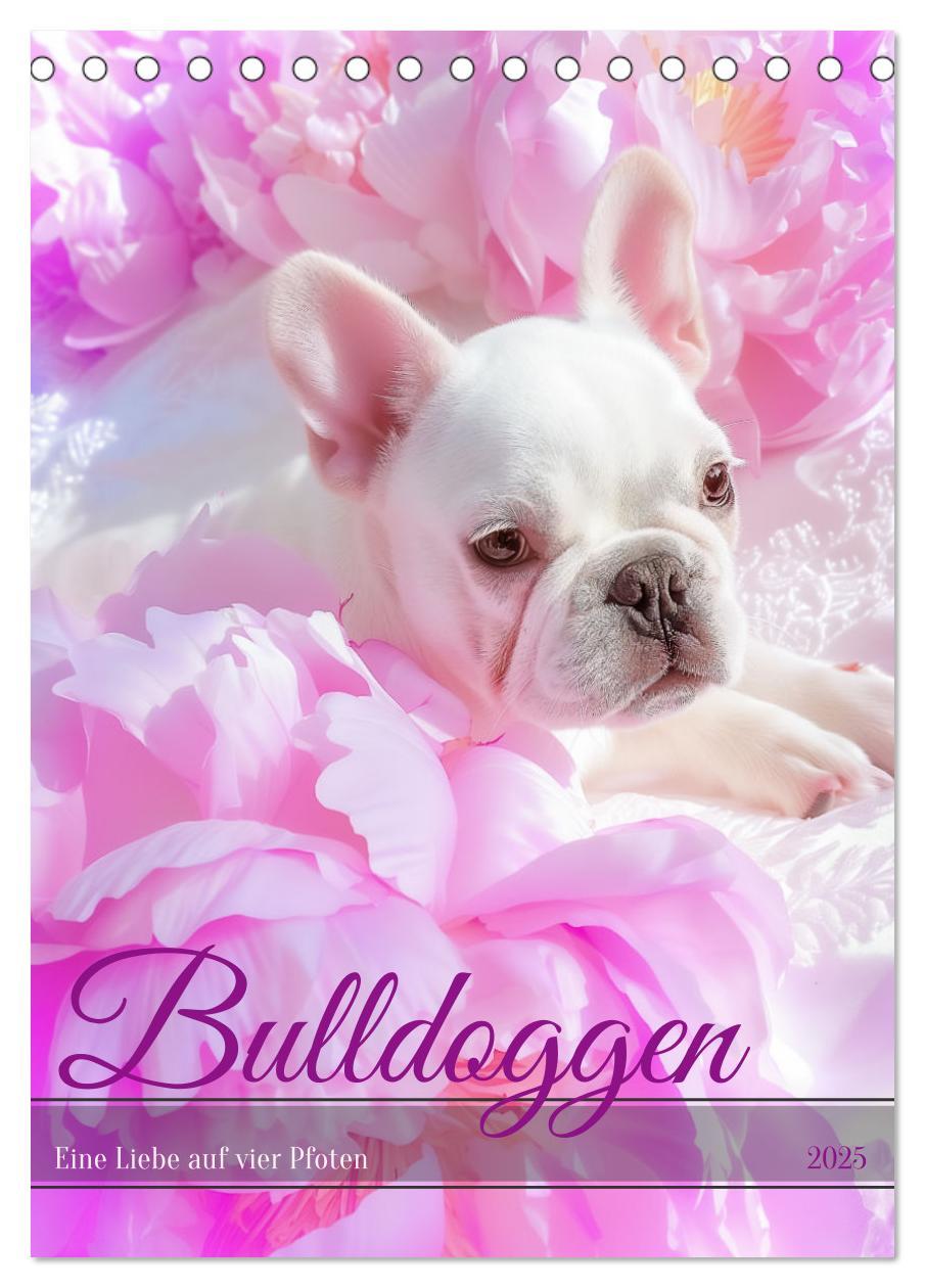 Cover: 9783383767814 | Bulldoggen (Tischkalender 2025 DIN A5 hoch), CALVENDO Monatskalender