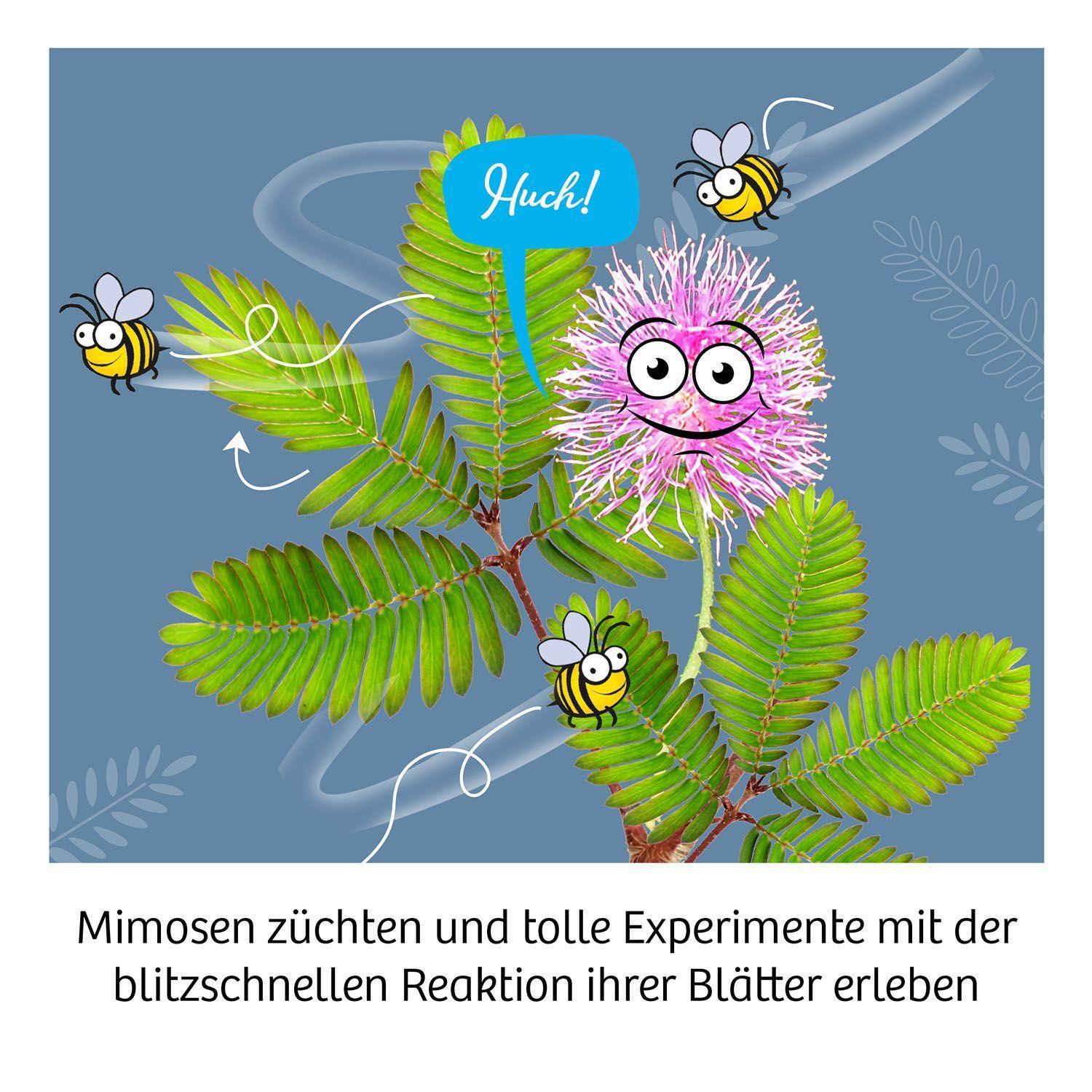 Bild: 4002051657802 | Mimosen-Garten | Experimentierkasten | Spiel | Brettspiel | 657802