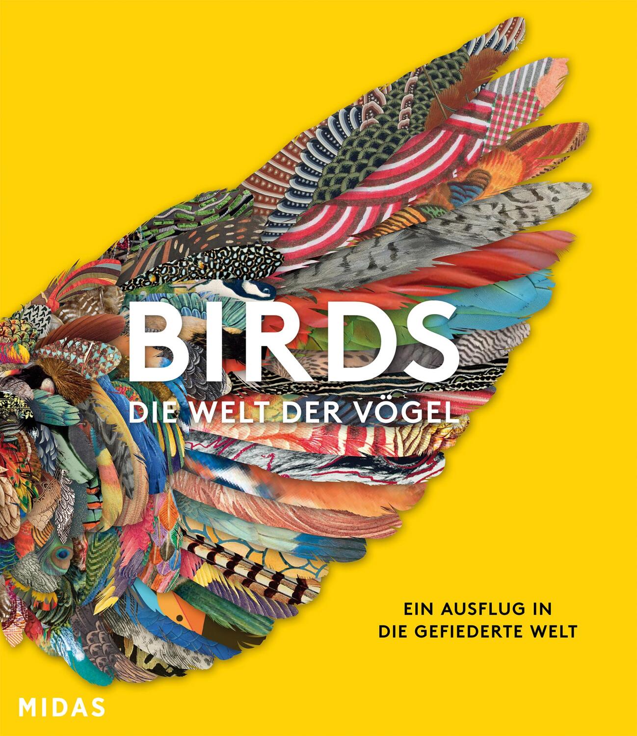 Cover: 9783038762850 | BIRDS - Die Welt der Vögel | Ein Ausflug in die gefiederte Welt | Buch