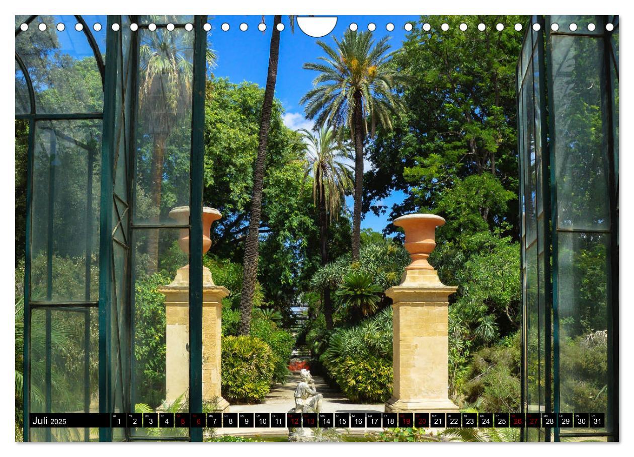 Bild: 9783435399499 | Botanischer Garten Palermo (Wandkalender 2025 DIN A4 quer),...