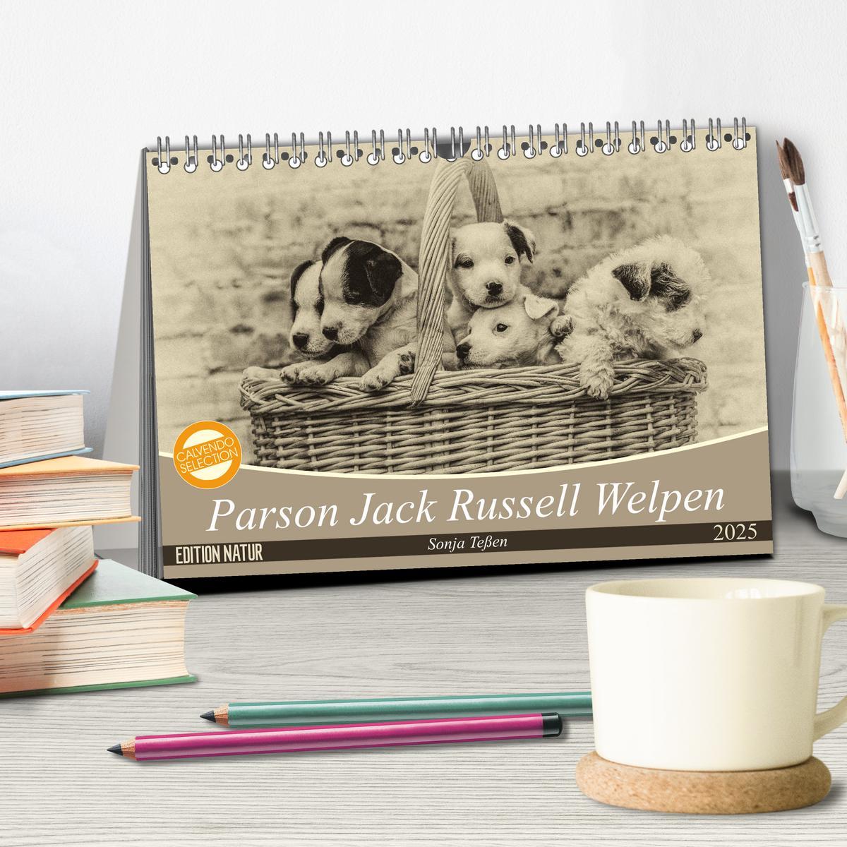 Bild: 9783435399604 | Parson Jack Russel Welpen (Tischkalender 2025 DIN A5 quer),...