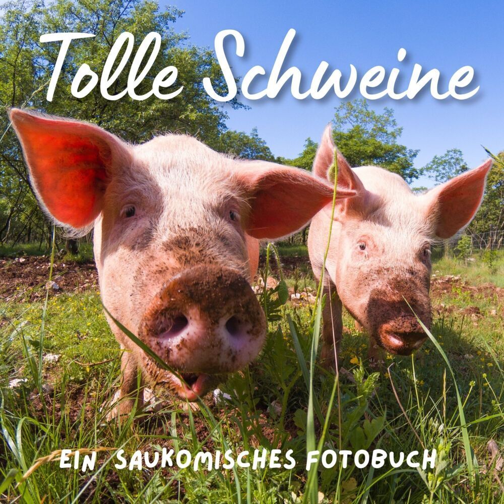 Cover: 9783750515314 | Tolle Schweine | Bibi Hübsch | Taschenbuch | 42 S. | Deutsch | 2022