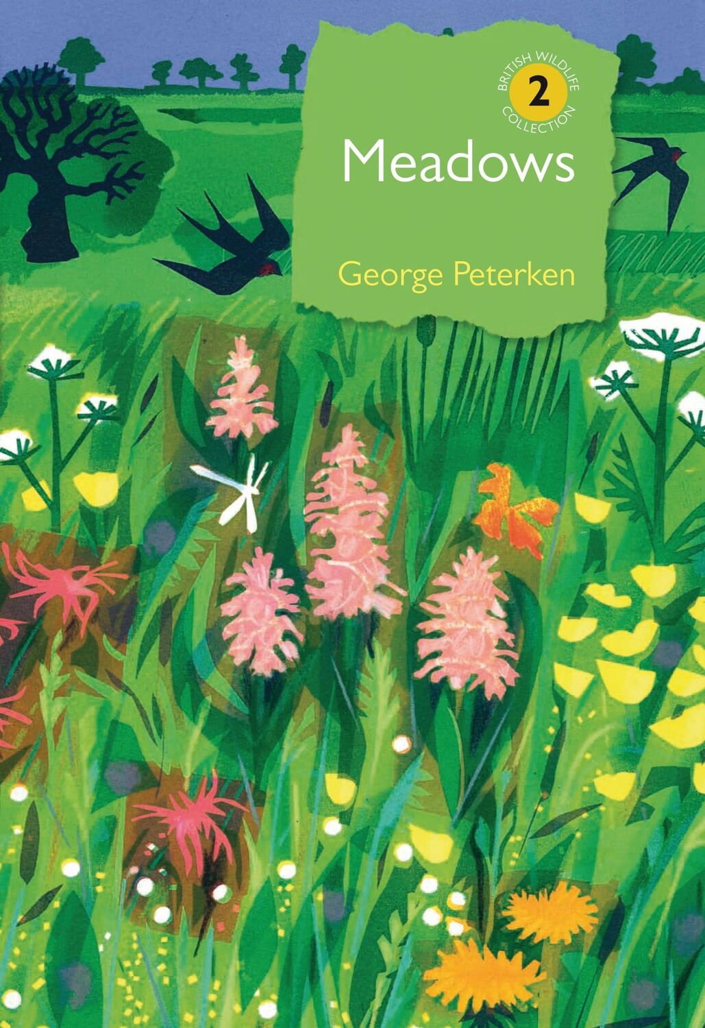 Cover: 9781472960344 | Meadows | George Peterken | Buch | Gebunden | Englisch | 2018