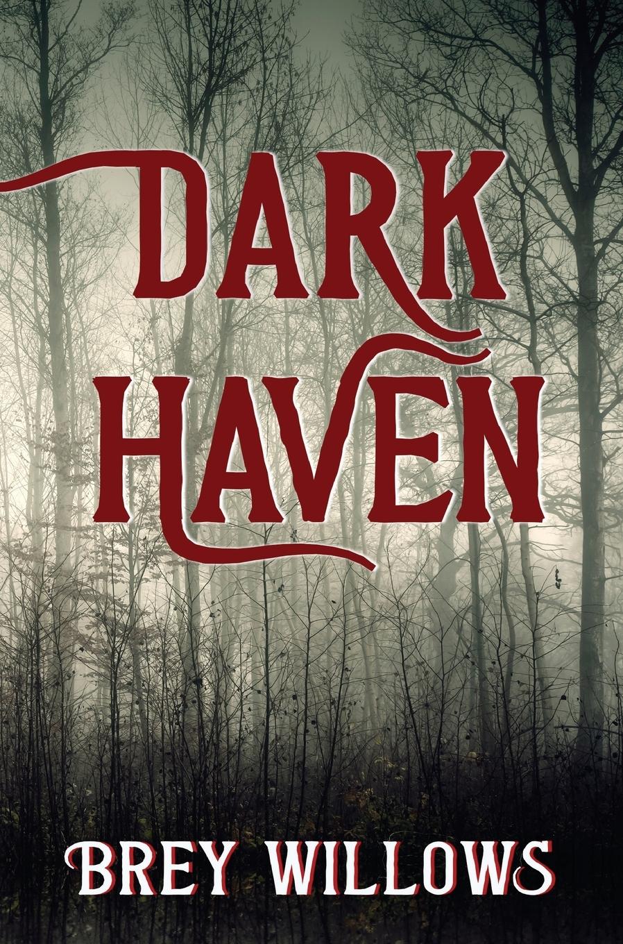 Cover: 9781915009401 | Dark Haven | Brey Willows | Taschenbuch | Englisch | 2023