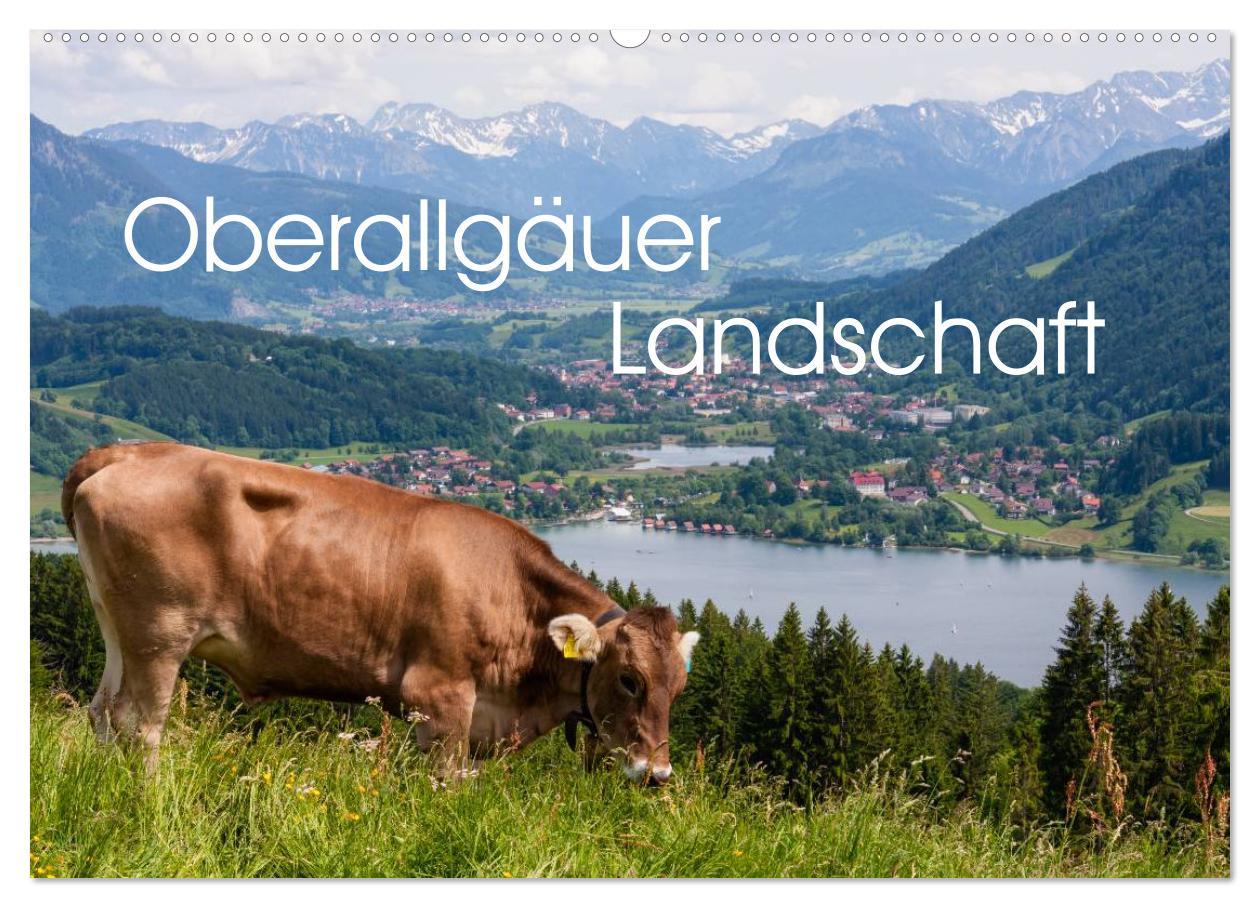 Cover: 9783435629565 | Oberallgäuer Landschaft (Wandkalender 2025 DIN A2 quer), CALVENDO...