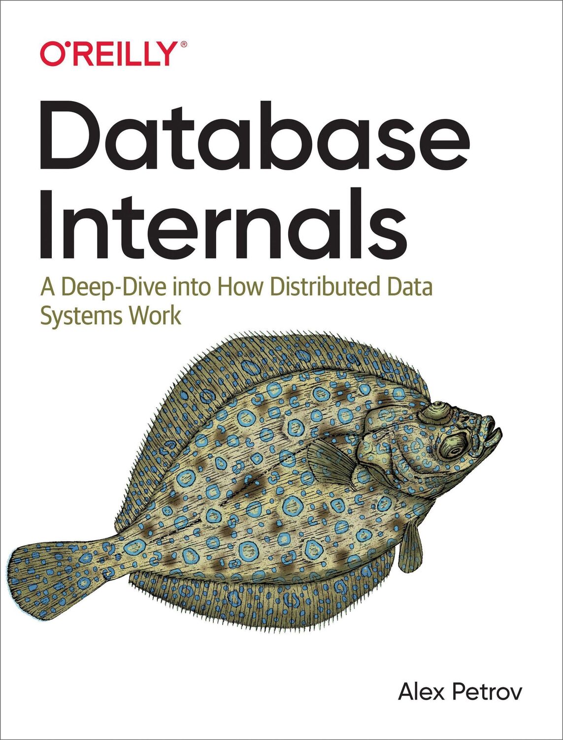 Cover: 9781492040347 | Database Internals | Alex Petrov | Taschenbuch | Englisch | 2019