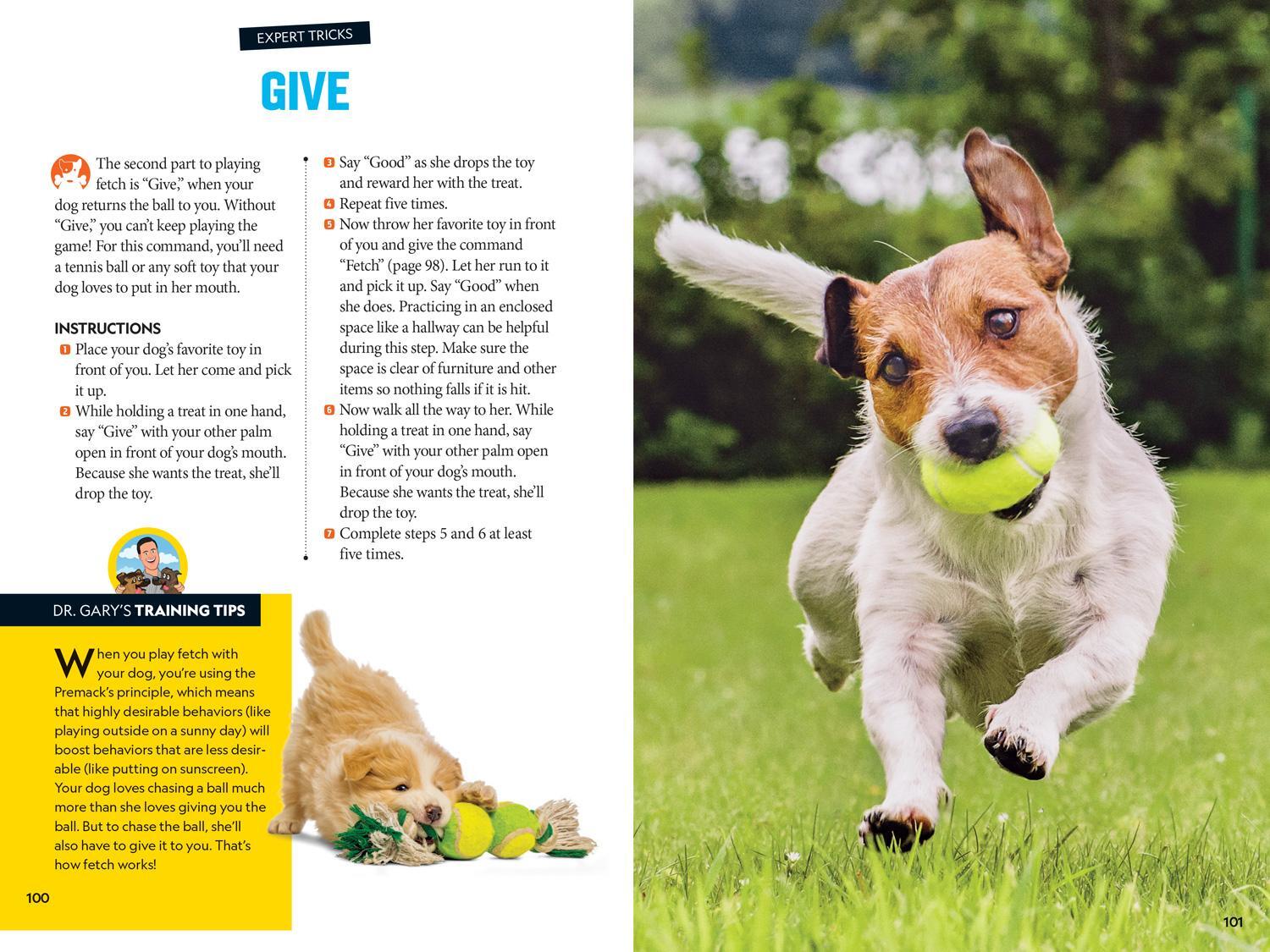 Bild: 9781426338489 | Fetch! a How to Speak Dog Training Guide | Aubre Andrus | Taschenbuch