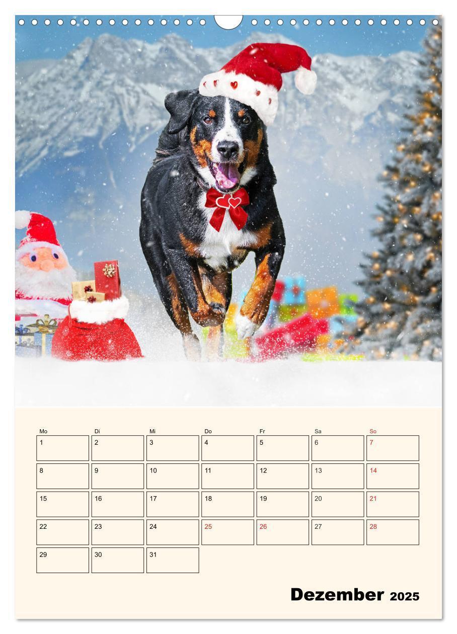 Bild: 9783435936571 | Appenzeller Sennenhund - Mit Plan durch das Jahr (Wandkalender 2025...