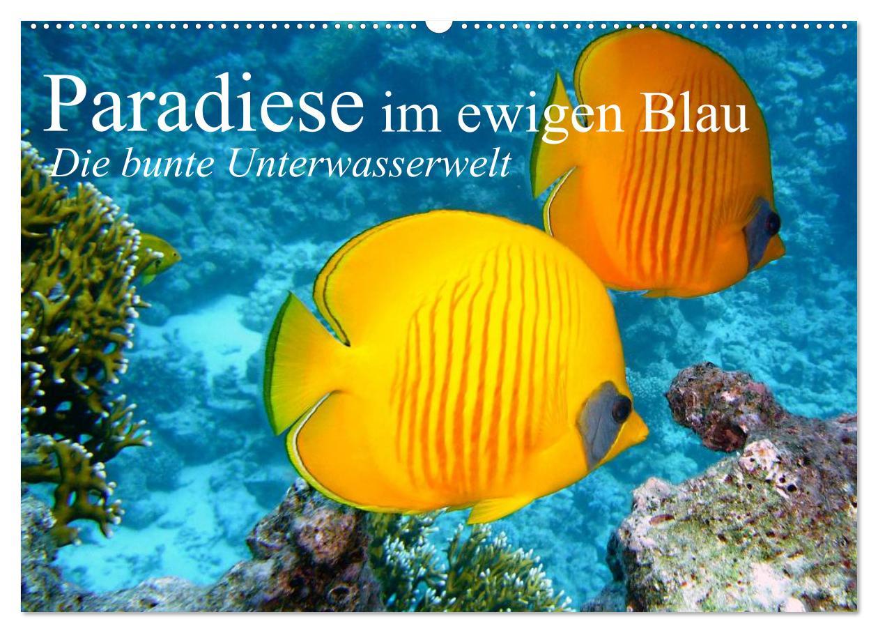 Cover: 9783435590254 | Paradiese im ewigen Blau. Die bunte Unterwasserwelt (Wandkalender...