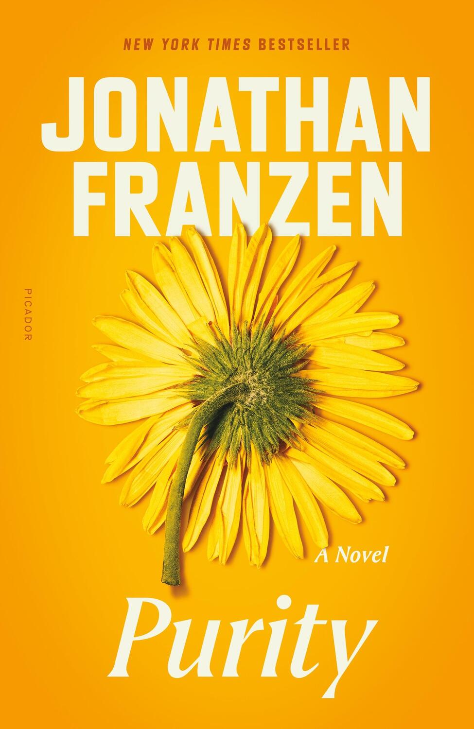 Cover: 9781250824035 | Purity | Jonathan Franzen | Taschenbuch | 608 S. | Englisch | 2021