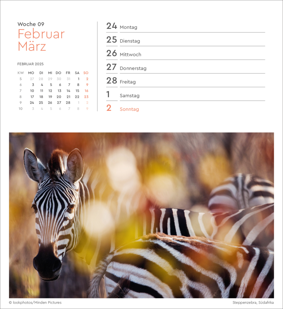 Bild: 9783965913882 | Farben der Erde - KUNTH Postkartenkalender 2025 | Kalender | 53 S.