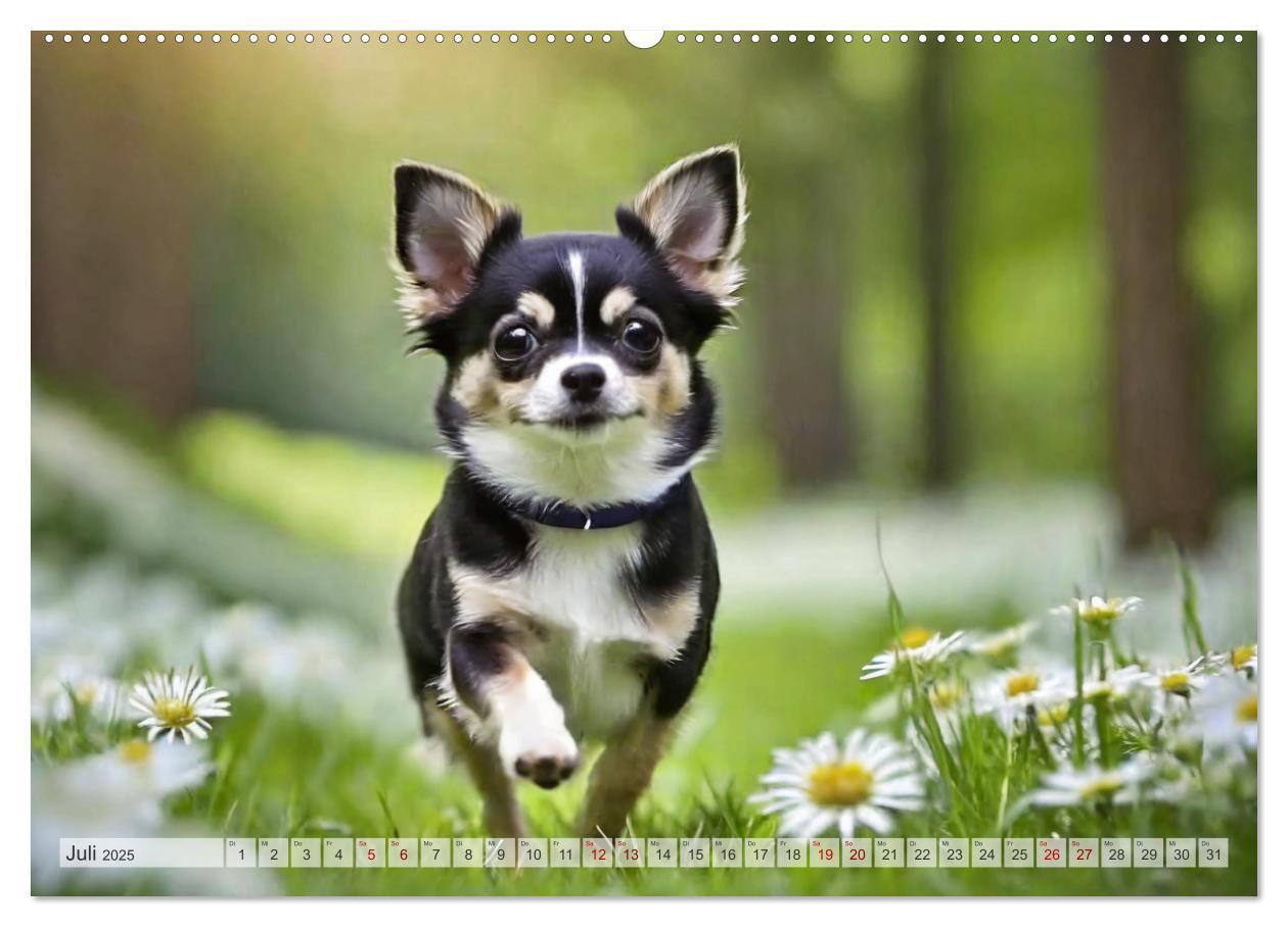 Bild: 9783383811593 | Chihuahuas - Kleine Hunde - große Temperamentbündel (Wandkalender...